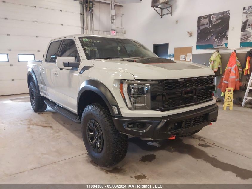 2023 Ford F150 Raptor VIN: 1FTFW1RJ2PFB35174 Lot: 11994366