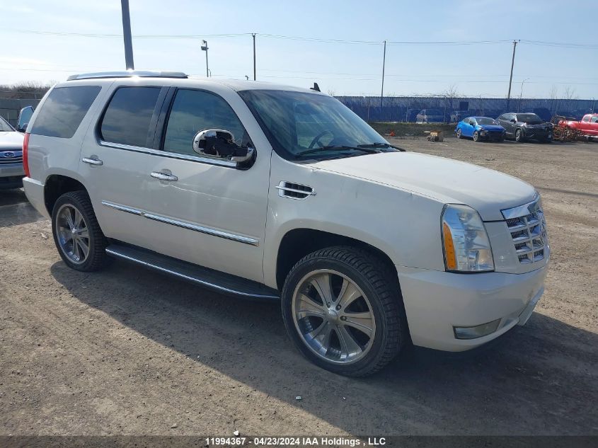 2008 Cadillac Escalade VIN: 1GYFK63848R155869 Lot: 11994367