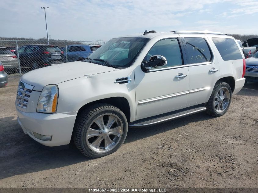 2008 Cadillac Escalade VIN: 1GYFK63848R155869 Lot: 11994367