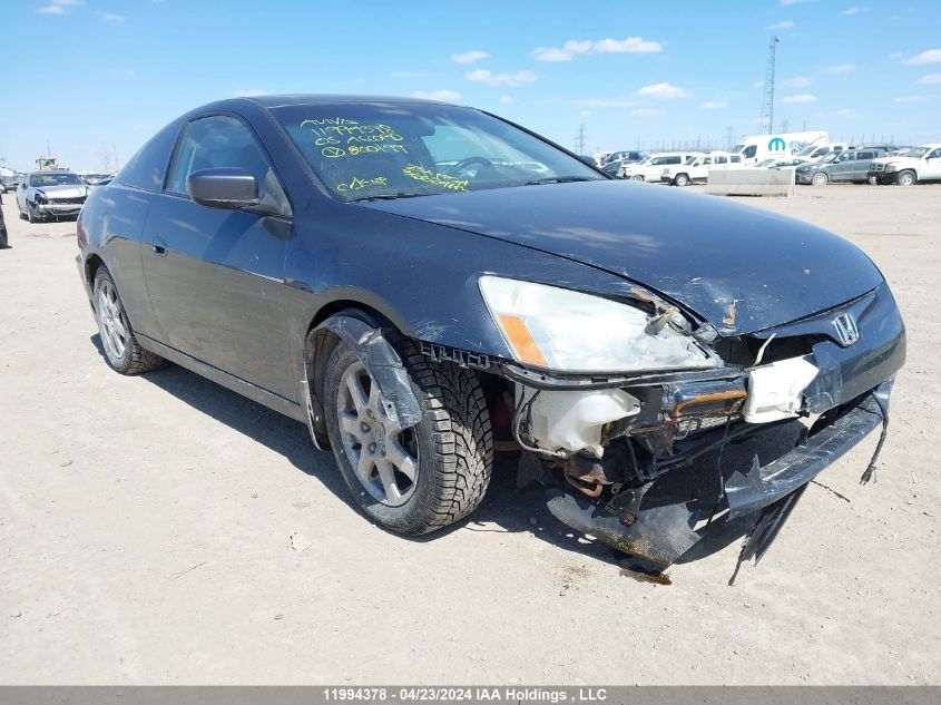 2005 Honda Accord Cpe VIN: 1HGCM82695A800199 Lot: 11994378