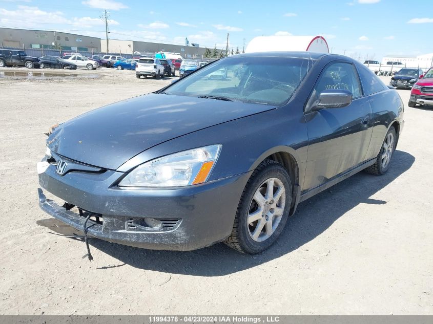 2005 Honda Accord Cpe VIN: 1HGCM82695A800199 Lot: 11994378