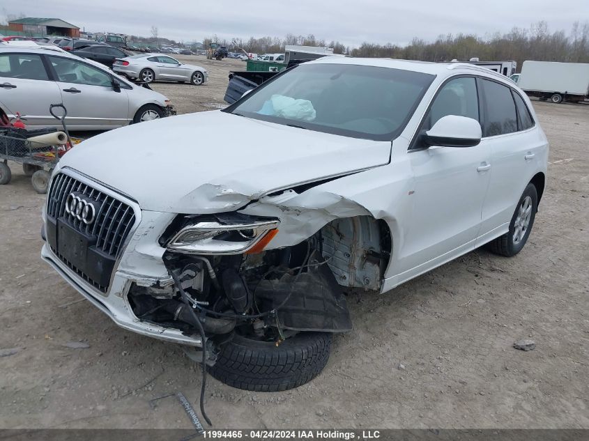 2014 Audi Q5 VIN: WA1WFCFP1EA043644 Lot: 11994465