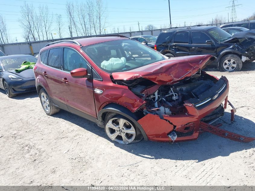 2014 Ford Escape Se VIN: 1FMCU0GX2EUA40841 Lot: 11994520