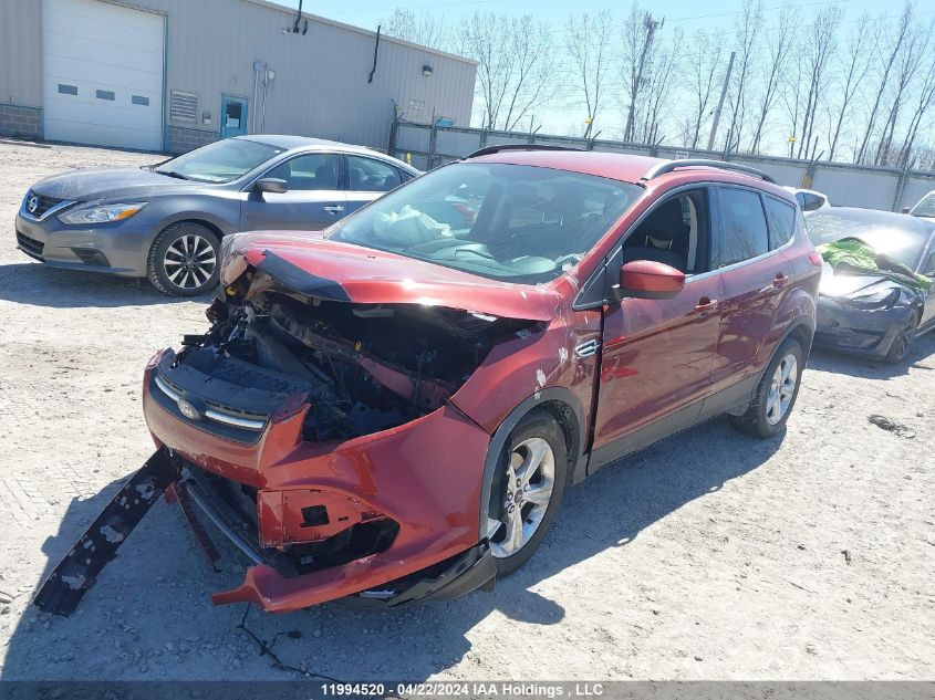 2014 Ford Escape Se VIN: 1FMCU0GX2EUA40841 Lot: 11994520