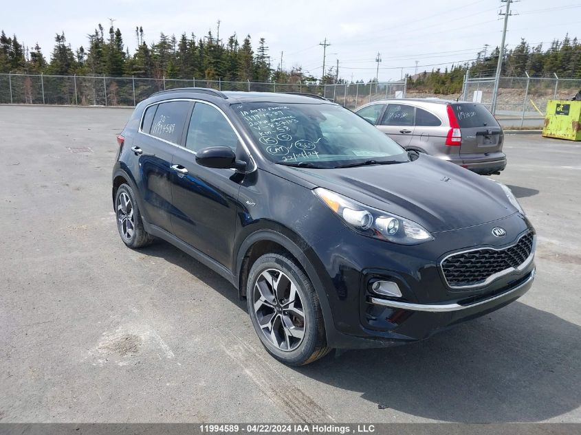 2020 Kia Sportage VIN: KNDPNCACXL7837103 Lot: 11994589