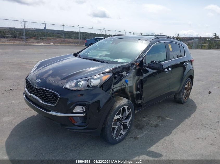 2020 Kia Sportage VIN: KNDPNCACXL7837103 Lot: 11994589