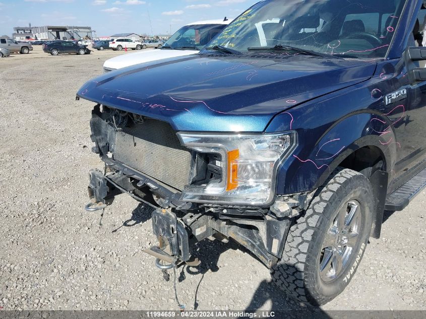 2019 Ford F-150 Xlt VIN: 1FTFW1E5XKFC50915 Lot: 11994659