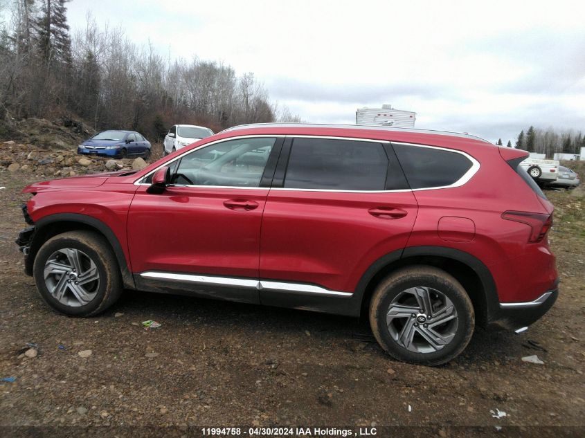 2023 Hyundai Santa Fe Preferred Awd VIN: 5NMS3DAJ5PH512359 Lot: 11994758