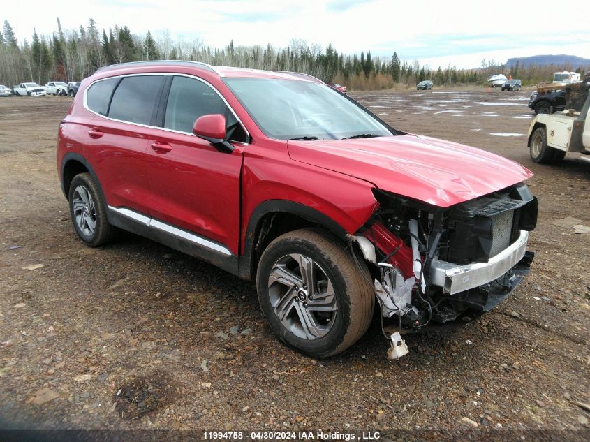 2023 Hyundai Santa Fe Preferred Awd VIN: 5NMS3DAJ5PH512359 Lot: 11994758