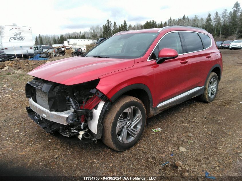 2023 Hyundai Santa Fe Preferred Awd VIN: 5NMS3DAJ5PH512359 Lot: 11994758