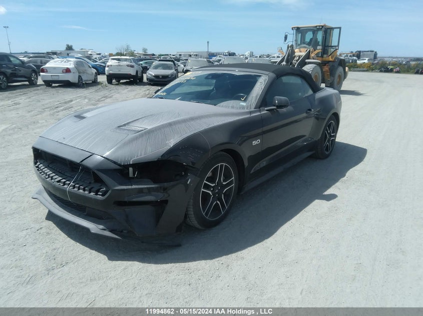 Free VIN History Check Verify My VIN with IAAI & COPART