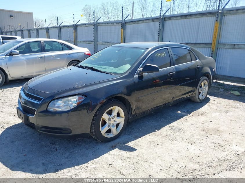 2010 Chevrolet Malibu VIN: 1G1ZB5E05AF195933 Lot: 11994875