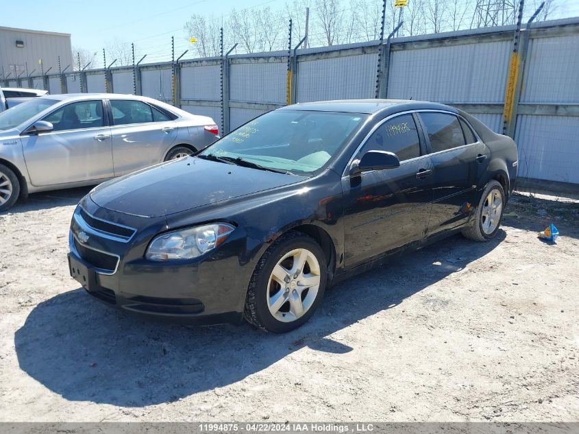 2010 Chevrolet Malibu VIN: 1G1ZB5E05AF195933 Lot: 11994875