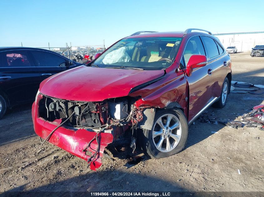 2010 Lexus Rx 350 VIN: JTJBK1BA7A2414684 Lot: 11994966