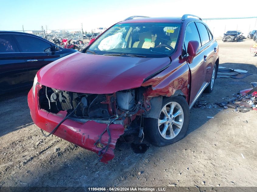 2010 Lexus Rx 350 VIN: JTJBK1BA7A2414684 Lot: 11994966