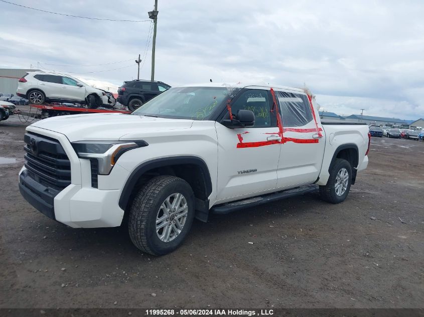 2022 Toyota Tundra Sr/Sr5 VIN: 5TFLA5DB5NX007172 Lot: 11995268