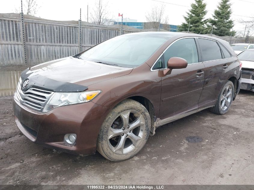 2010 Toyota Venza VIN: 4T3ZK3BB1AU031269 Lot: 11995322