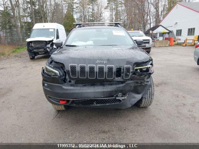 2021 Jeep Cherokee Trailhawk VIN: 1C4PJMBX7MD230193 Lot: 11995352