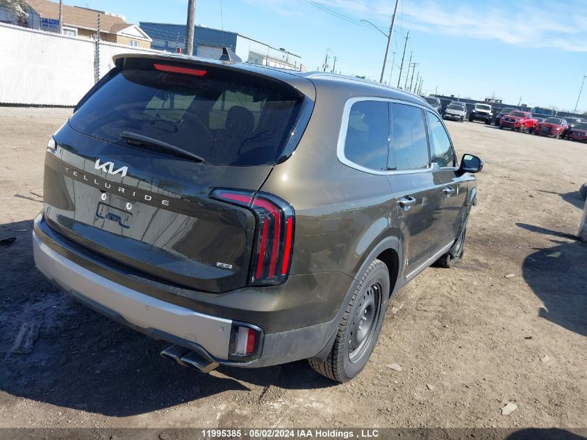 2023 Kia Telluride VIN: 5XYP5DGC0PG351504 Lot: 11995385