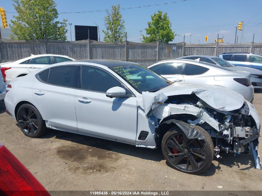 2023 Genesis G70 VIN: KMTG54TE7PU116766 Lot: 11995436