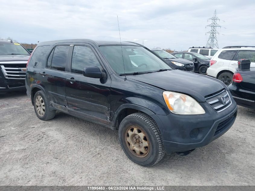 2006 Honda Cr-V Ex VIN: JHLRD78816C810732 Lot: 11995483