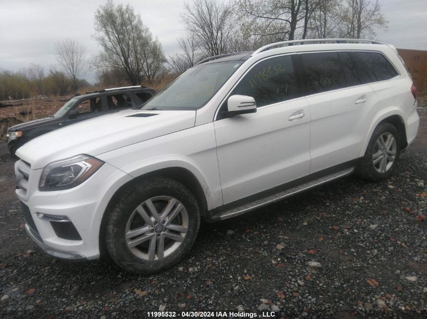 2015 Mercedes-Benz Gl-Class VIN: 4JGDF2EE3FA476807 Lot: 11995532