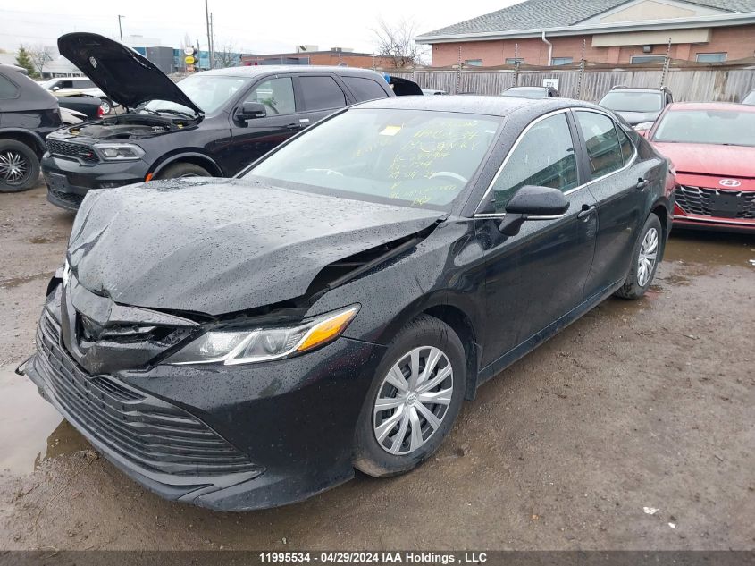 2019 Toyota Camry L/Le/Xle/Se/Xse VIN: 4T1B11HK0KU244904 Lot: 11995534