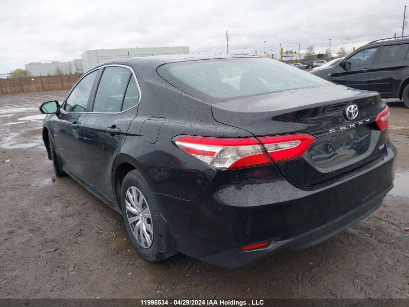 2019 Toyota Camry L/Le/Xle/Se/Xse VIN: 4T1B11HK0KU244904 Lot: 11995534