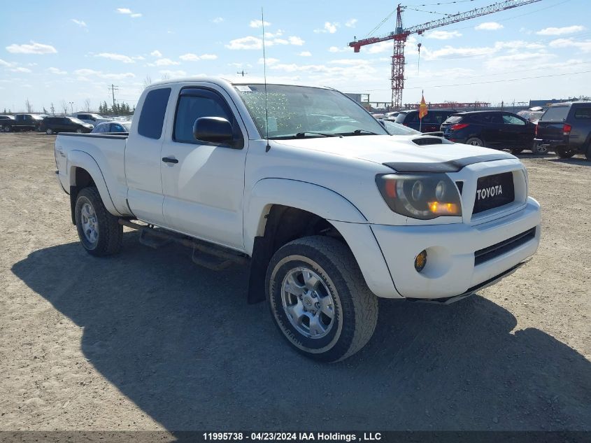 2009 Toyota Tacoma Access Cab VIN: 5TEUU42N29Z635336 Lot: 11995738