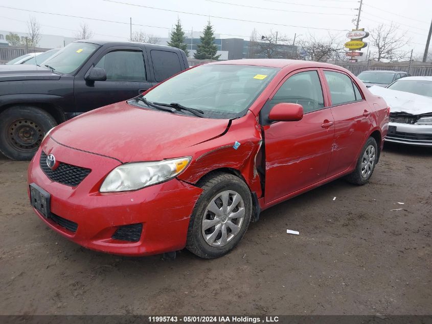 2010 Toyota Corolla S/Le/Xle VIN: 2T1BU4EE4AC262815 Lot: 11995743