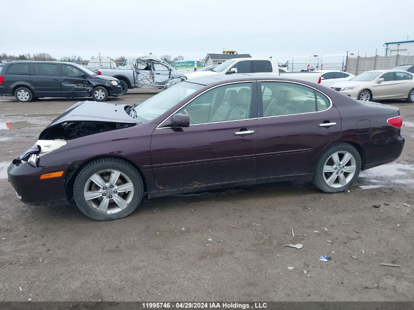 2005 Lexus Es 330 VIN: JTHBA30GX55066679 Lot: 11995746