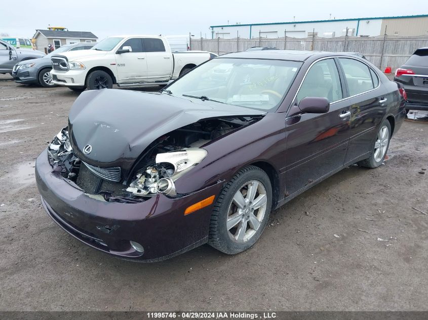 2005 Lexus Es 330 VIN: JTHBA30GX55066679 Lot: 11995746