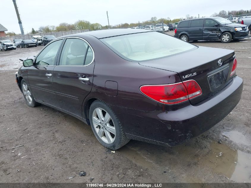 2005 Lexus Es 330 VIN: JTHBA30GX55066679 Lot: 11995746