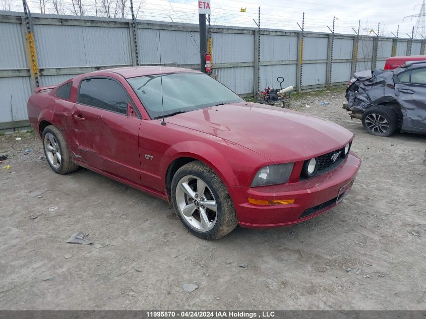 2006 Ford Mustang Gt VIN: 1ZVFT82HX65187937 Lot: 11995870