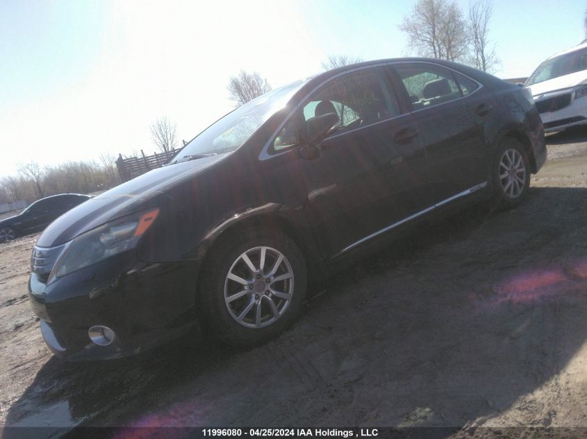 2010 Lexus Hs 250H VIN: JTHBB1BA7A2011662 Lot: 11996080