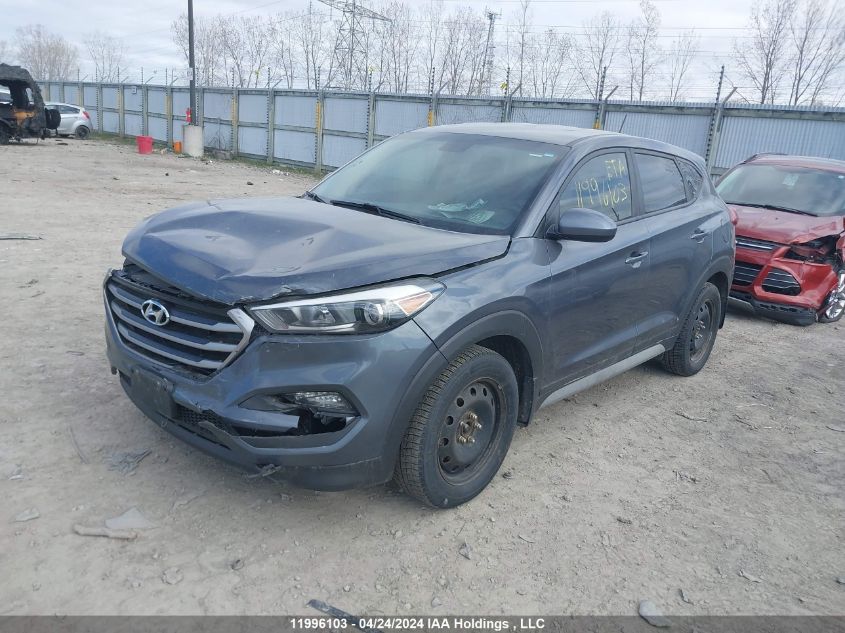 2017 Hyundai Tucson VIN: KM8J23A42HU511145 Lot: 11996103