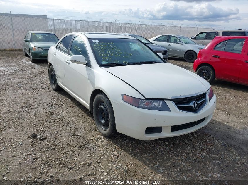 2005 Acura Tsx VIN: JH4CL96825C803791 Lot: 11996152