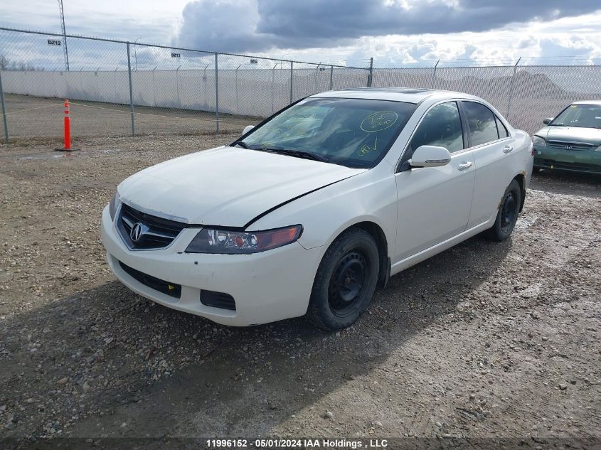 2005 Acura Tsx VIN: JH4CL96825C803791 Lot: 11996152