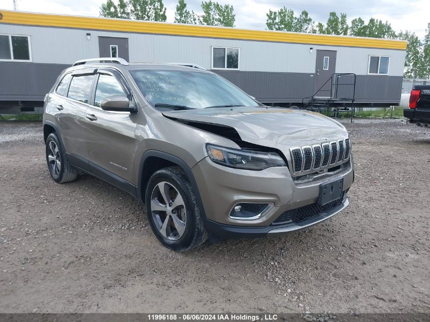 2019 Jeep Cherokee Limited VIN: 1C4PJMDX3KD376018 Lot: 11996188