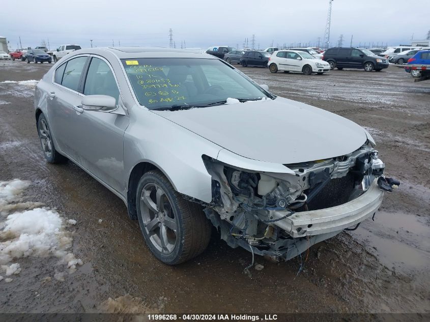 2010 Acura Tl VIN: 19UUA9F5XAA801053 Lot: 11996268