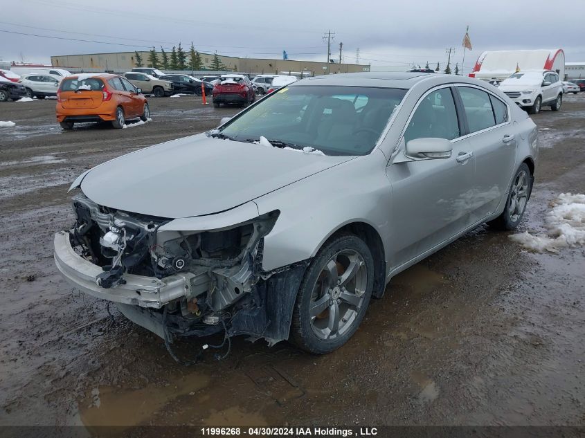 2010 Acura Tl VIN: 19UUA9F5XAA801053 Lot: 11996268