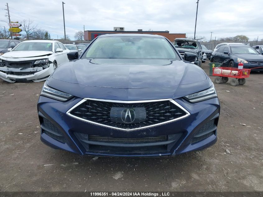 2021 Acura Tlx VIN: 19UUB6F40MA800792 Lot: 11996351