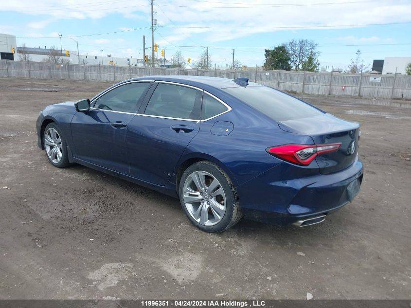 2021 Acura Tlx VIN: 19UUB6F40MA800792 Lot: 11996351