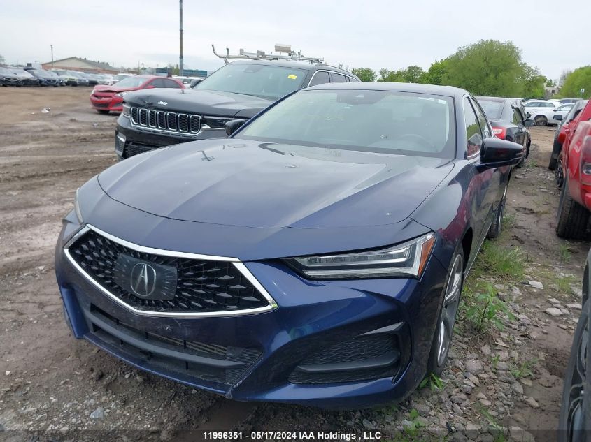 2021 Acura Tlx VIN: 19UUB6F40MA800792 Lot: 11996351