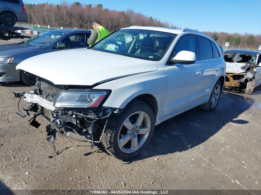 2013 Audi Q5 VIN: WA1VFCFP2DA075139 Lot: 11996362