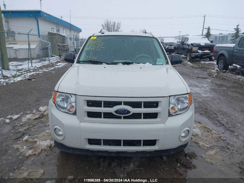 2009 Ford Escape Hybrid VIN: 1FMCU49329KC55736 Lot: 11996389