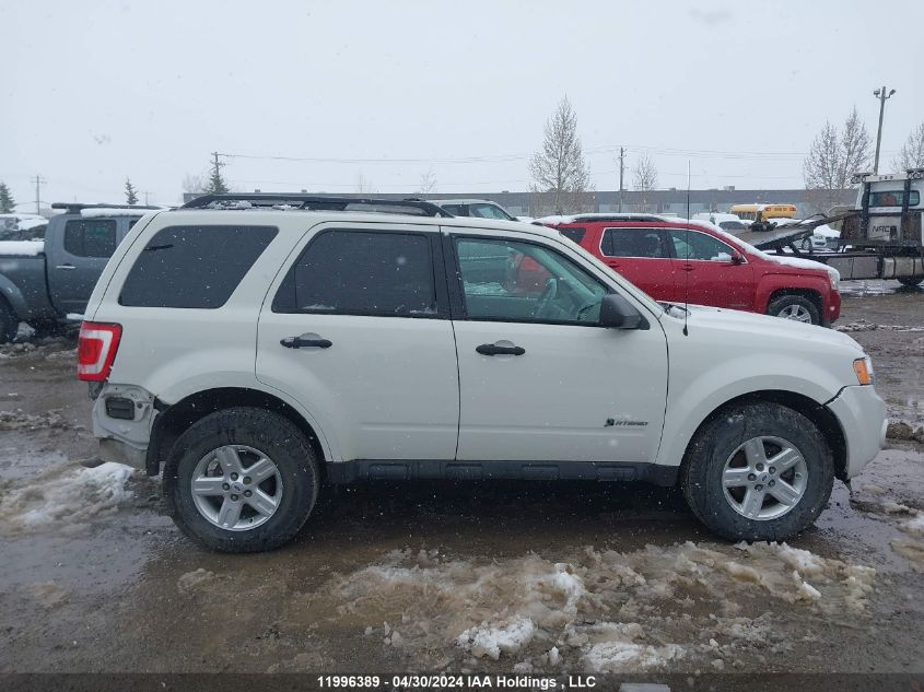 2009 Ford Escape Hybrid VIN: 1FMCU49329KC55736 Lot: 11996389