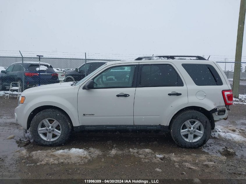 2009 Ford Escape Hybrid VIN: 1FMCU49329KC55736 Lot: 11996389