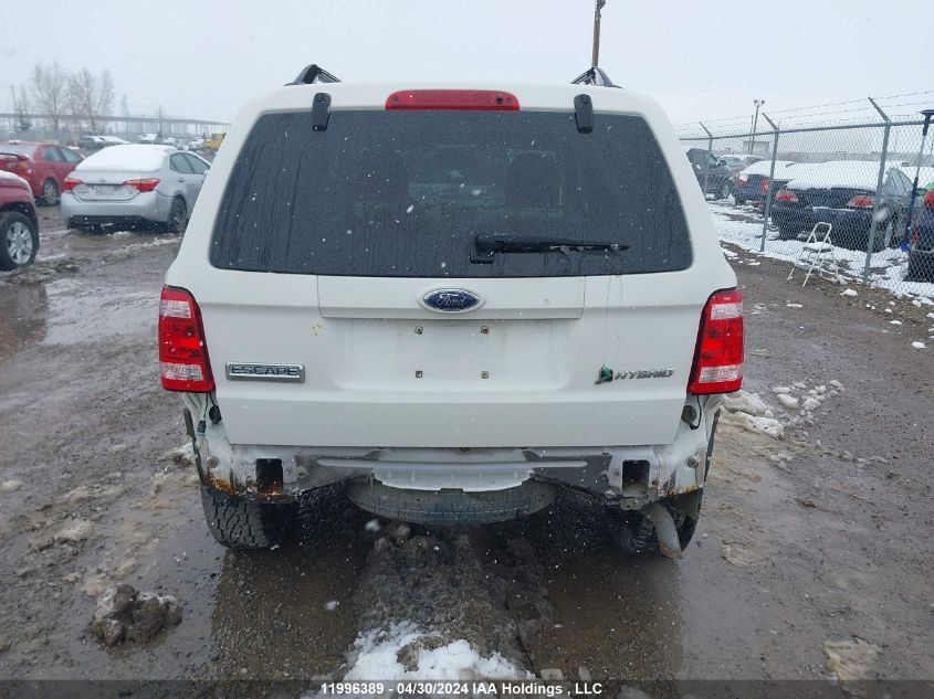 2009 Ford Escape Hybrid VIN: 1FMCU49329KC55736 Lot: 11996389