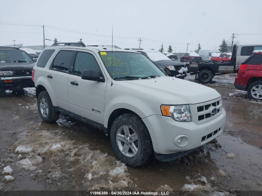 2009 Ford Escape Hybrid VIN: 1FMCU49329KC55736 Lot: 11996389